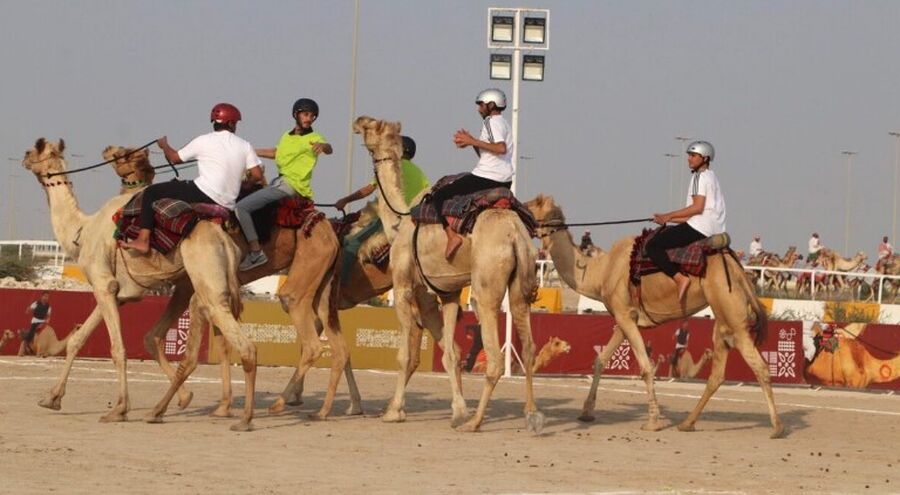 قطر: البطولة الدولية لكرة يد الهجانة