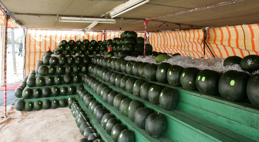 أمانة عمان تفتح باب استقبال تصاريح