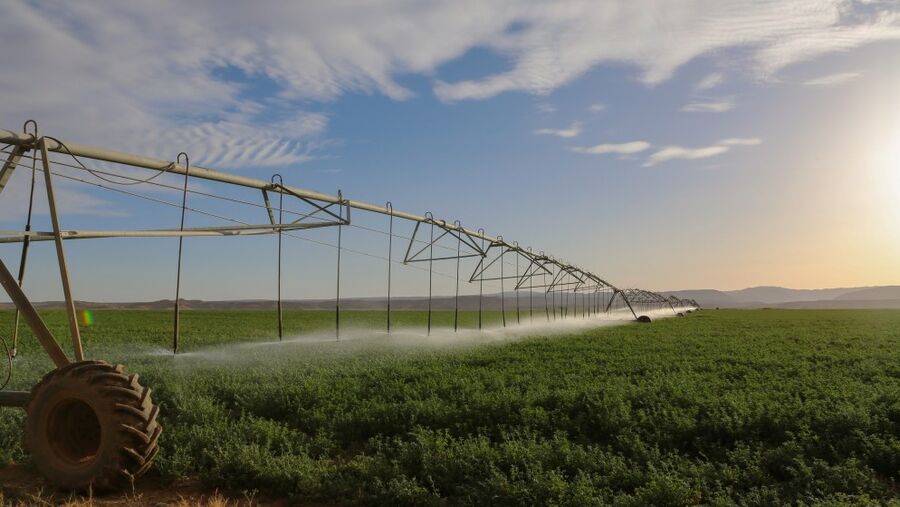 أعمال مؤتمر منظمة الأغذية والزراعة تنطلق