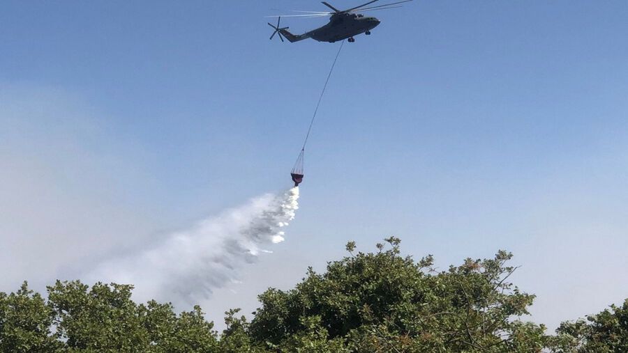 عجلون: دعوات لتفعيل خطط الطوارئ للحد