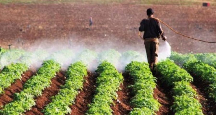 زراعة الأغوار الشمالية تدعو المزارعين لتكثيف