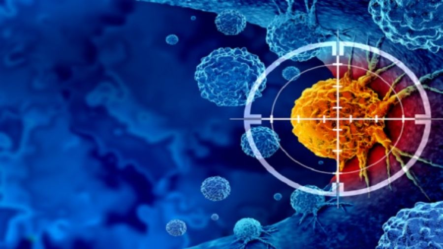 دراسات علمية مختلفة تكشف السبب الأكثر