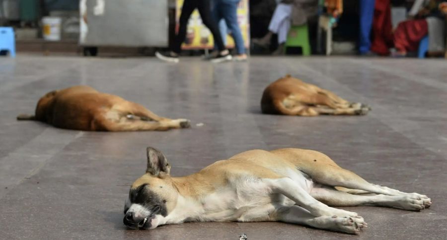 مشروع قانون في تركيا لجمع ملايين
