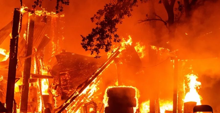 الآلاف يشاركون في إخماد حرائق الغابات