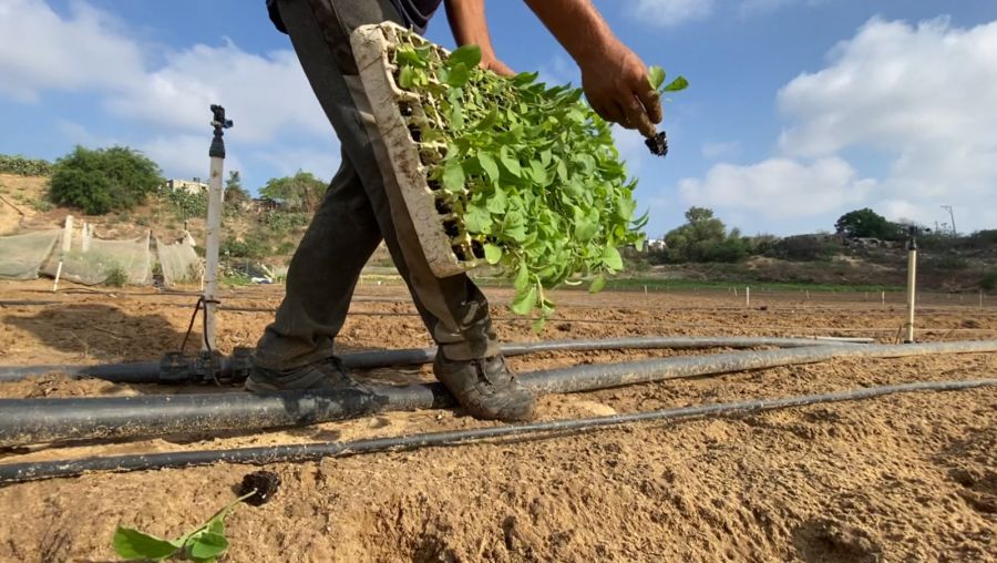 في مواجهة التجويع.. العربية لحماية الطبيعة