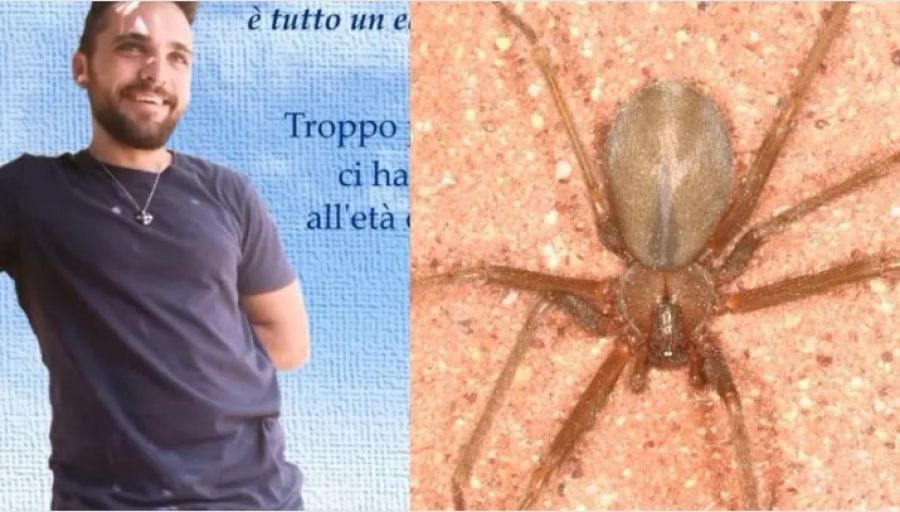 حجمه 7 ملم وينتشر بدول البحر