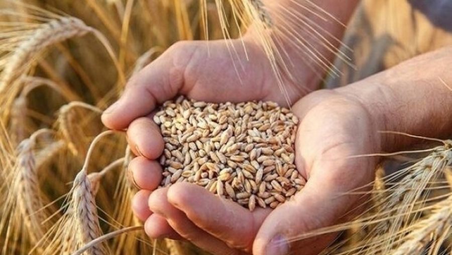 الأردن يطرح عطاء لشراء 120 ألف