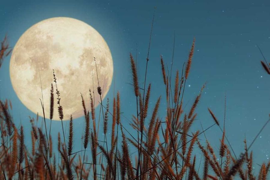 قمر الحصادين يضيء سماء المملكة والعالم