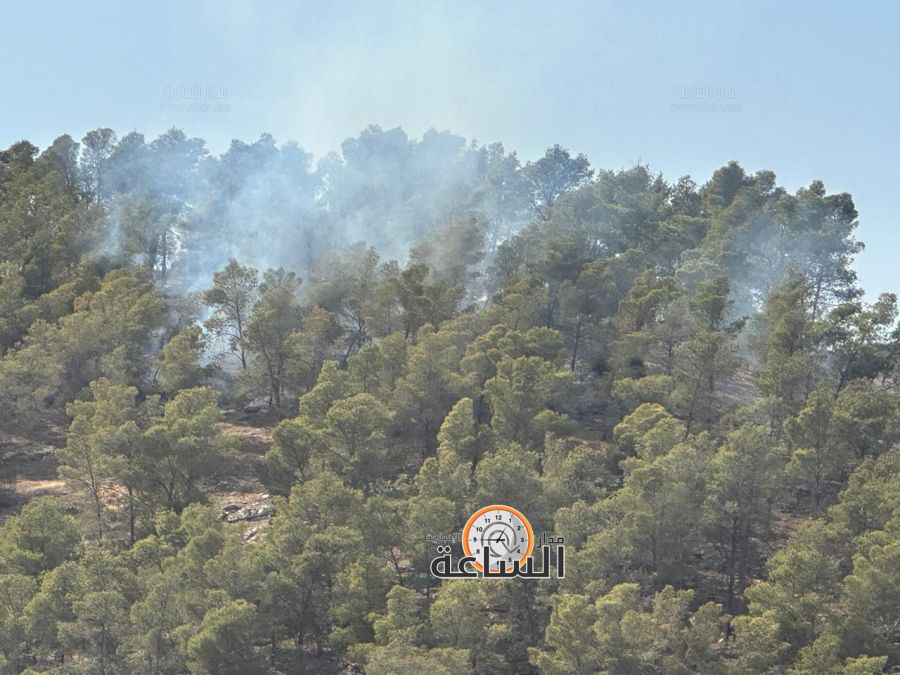 حريق كبير في غابة الشهيد وصفي