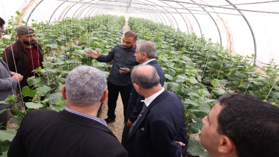 رئيس الوزراء في جولة ميدانية بمحافظة