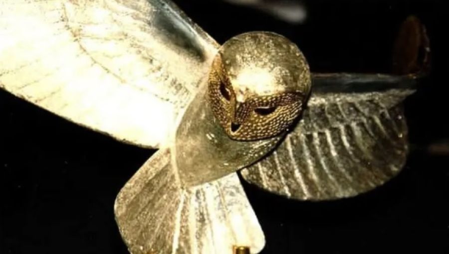 البومة الذهبية.. لعز حيّر فرنسا لـ31