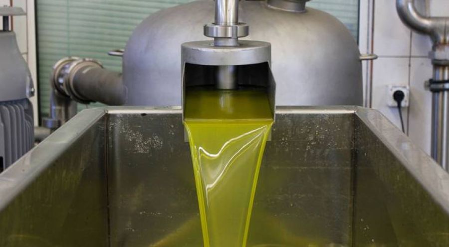 تقديرات بإنتاج 1317 طنا من زيت