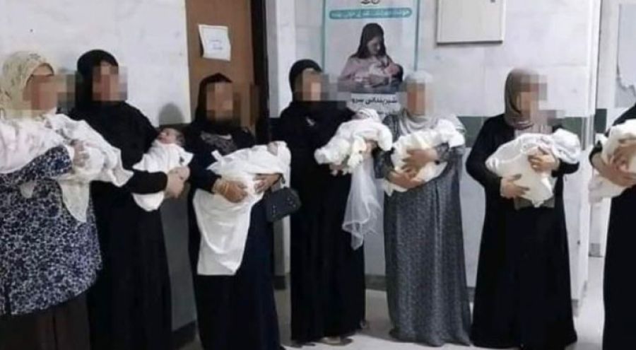 سيدة كركية تنجب 7 توائم في