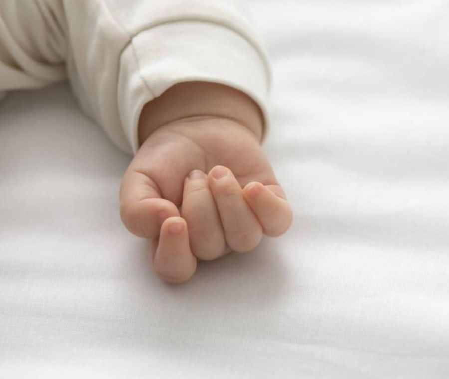 عبد القادر عادل خليلية.. مبارك قدوم