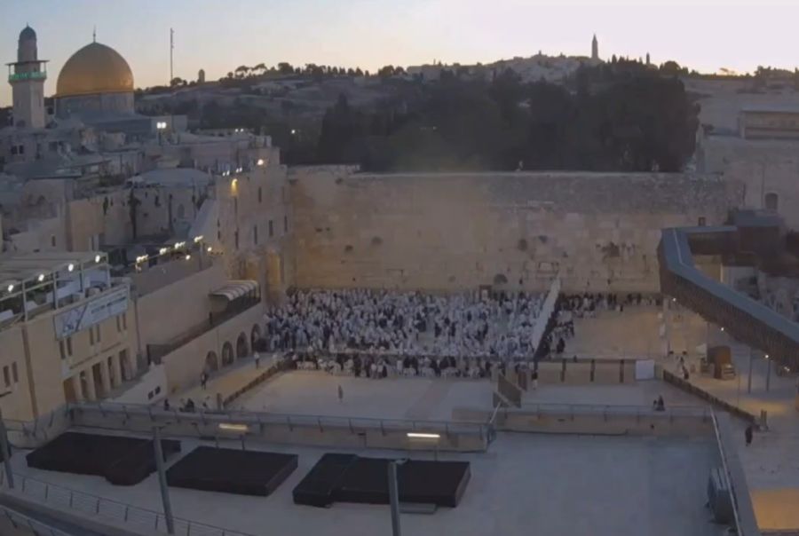 عشرات المستوطنين يؤدون طقوسا تلمودية عند