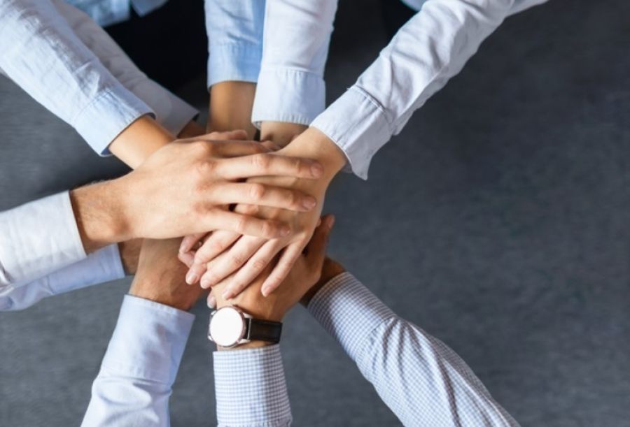 إرادة ملكية بـ نظام مزاولة مهنة