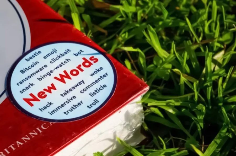 أكثر مصطلحات الإنترنت شيوعا لعام 2024