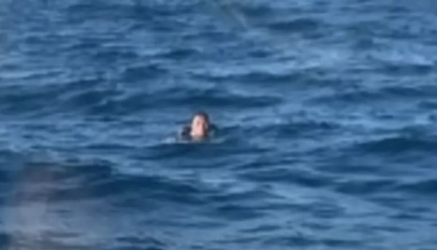 نجا بأعجوبة.. سقط من سفينة شحن