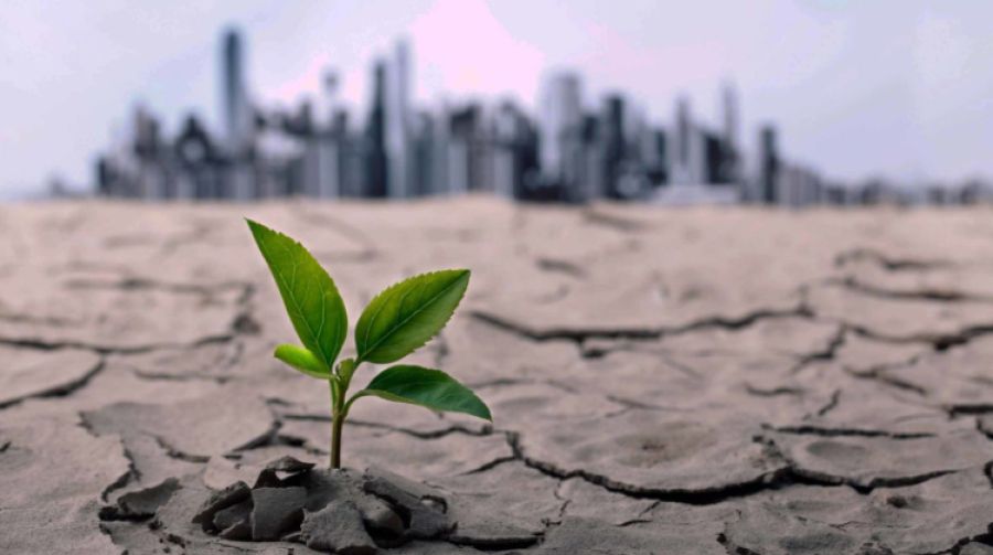 الإمارات تطوّر أول نموذج تشات جي