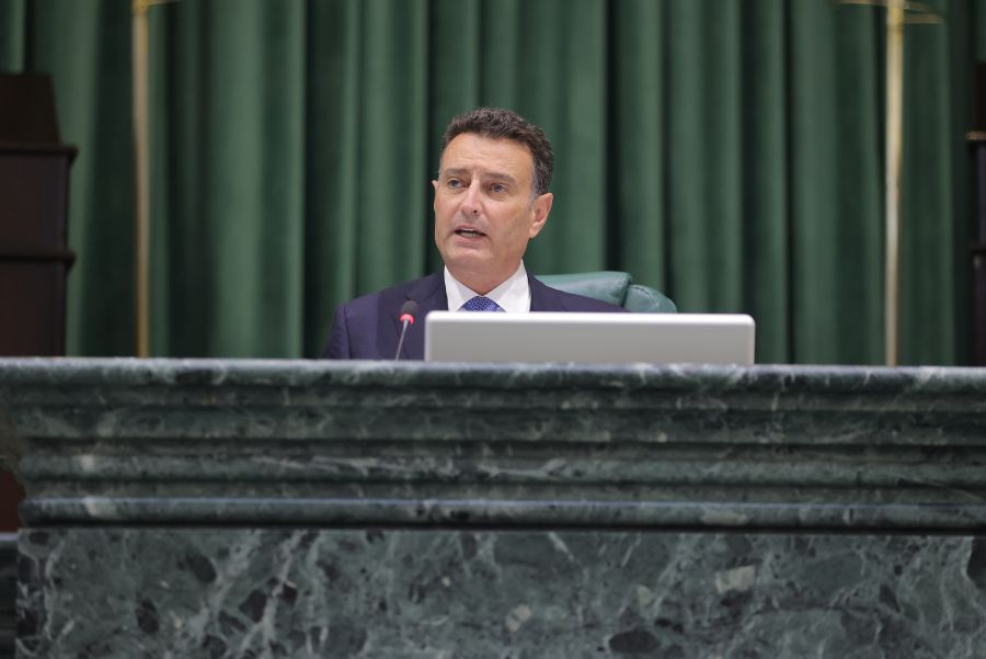 الصفدي يستقبل المهنئين (تفاصيل)