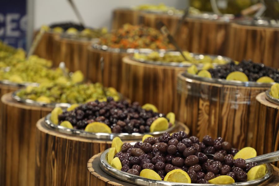 الأردن.. 74559 زائرا لمهرجان الزيتون خلال