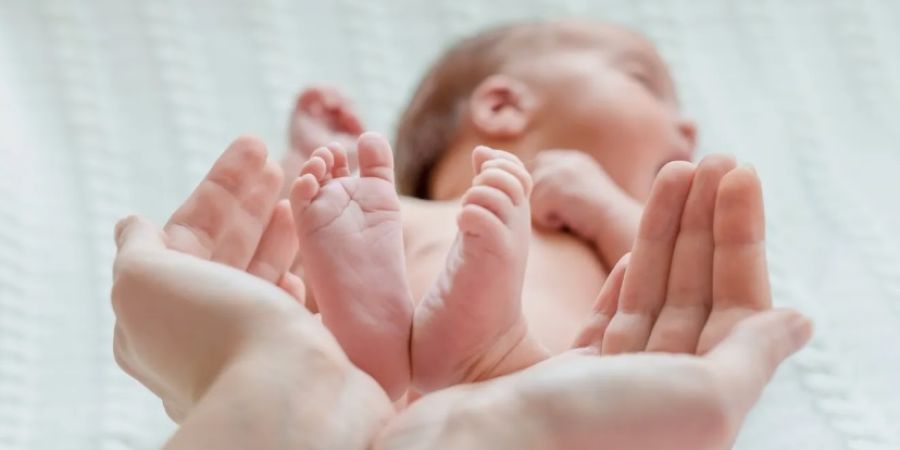 محمد الطاهات.. مبارك قدوم المولودة الجديدة