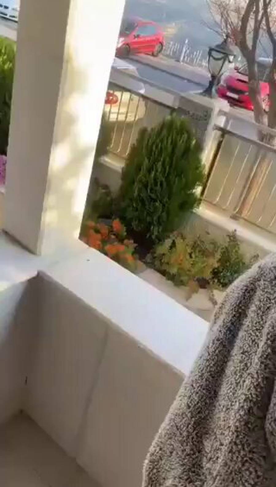 إطلاق نار في محيط القصر الجمهوري