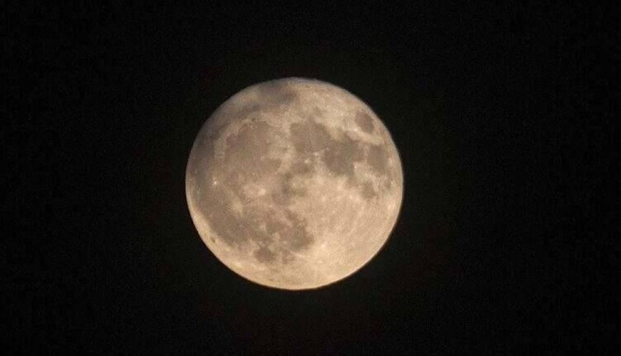 دراسة جديدة تنسف معتقدا شائعا بشأن