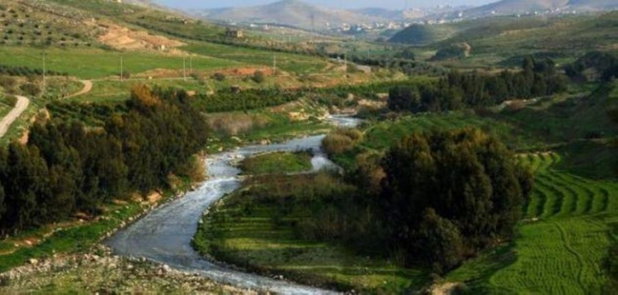 زراعة الزرقاء تحول المعتدين على الغابات