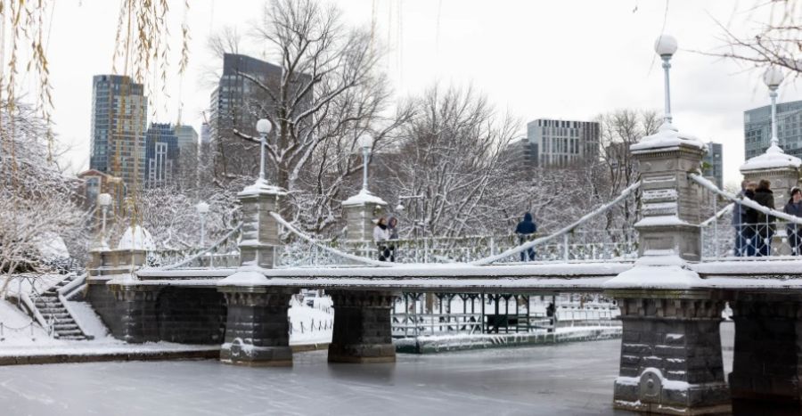 فيديو يكشف تأثير الشتاء الكبير على