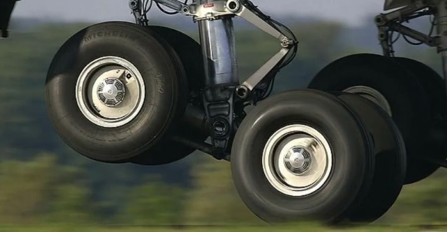 حدث في فلوريدا.. جثتان عند فتحة