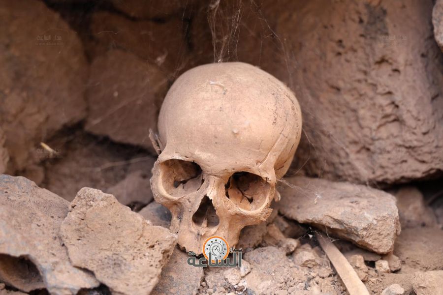 24 قبرا رآهم الناس فوق التراب..