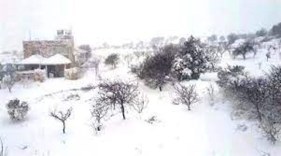 تجدد تساقط الثلوج في عجلون
