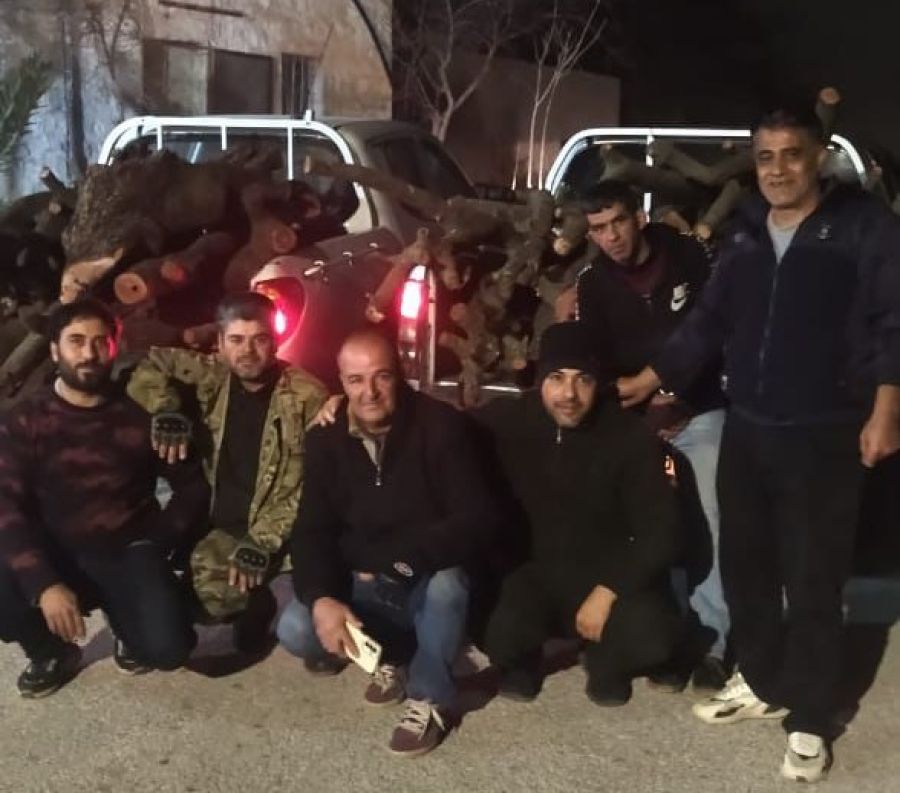 ضبط طن ونصف من أشجار السنديان