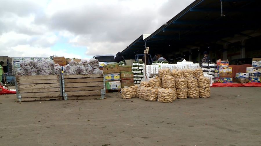 2449 طنا من الخضار وردت للسوق