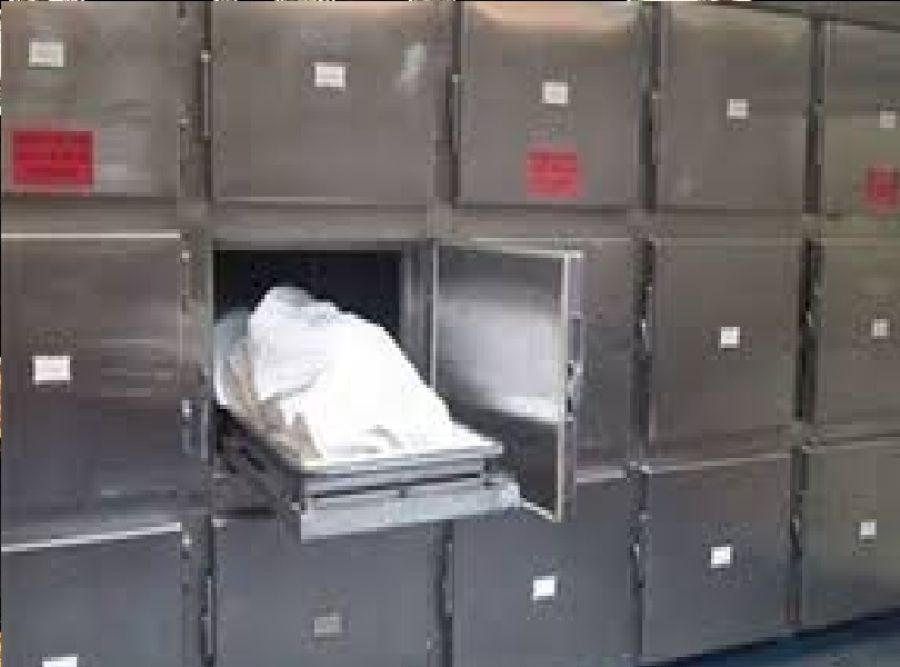 صيدلي يقتل أمه خنقا بزعم تخليصها