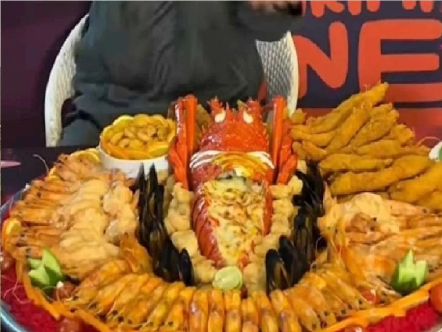 التنين المجنح في مصر بـ18 ألف