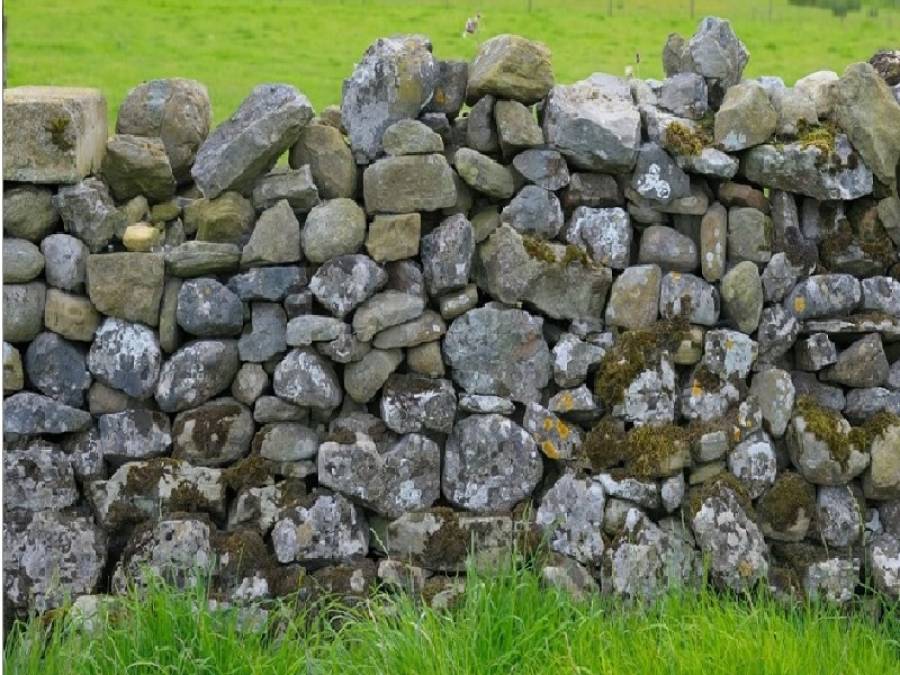 ترميم جدار بالصدفة يقود للكشف عن