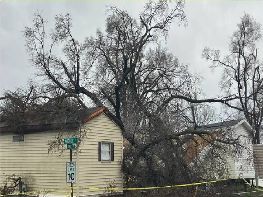 حادث مأساوي.. وفاة 3 أطفال بعد