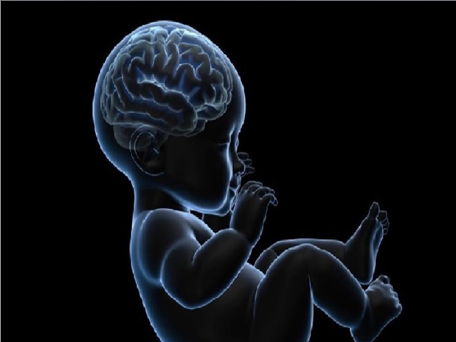 عنصر في البلاستيك يؤثر على نمو