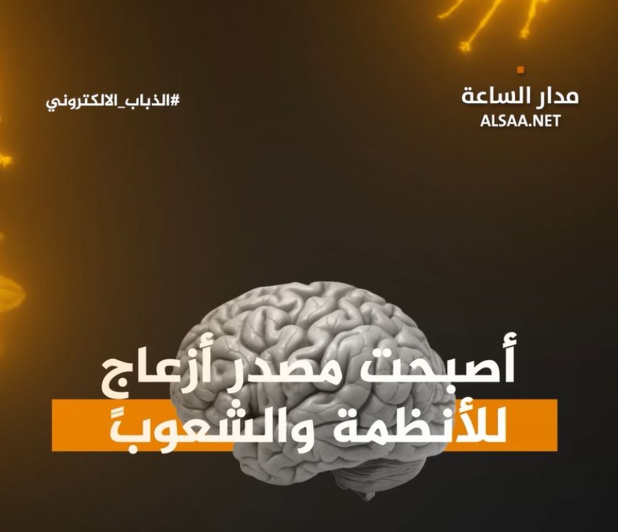 لعبة الذباب الإلكتروني: كيف نواجه الهجوم