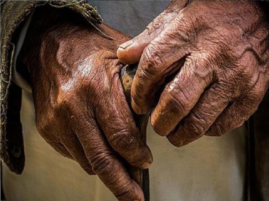 تناول البروتين 3 مرات يوميا أفضل