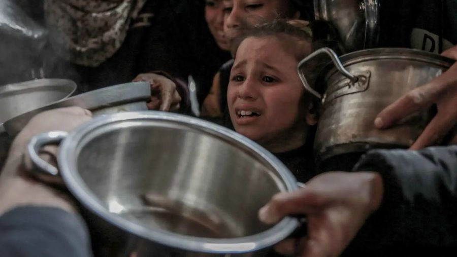 لحم السلحفاة.. وجبة قسرية على نار