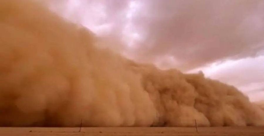 علماء في خدمة ربة البيت.. طوروا