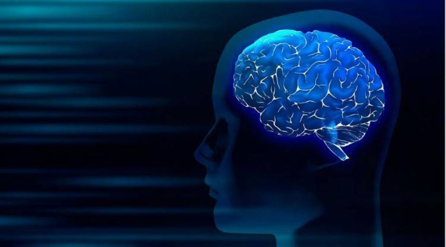 إنزيم مفتاح علاج أكثر أنواع أورام