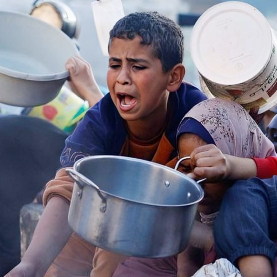 “من أين الوجبة التالية؟”.. المجاعة تنافس