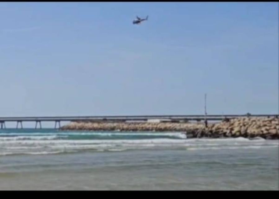 رعب على الشاطئ.. سمكة قرش تفترس