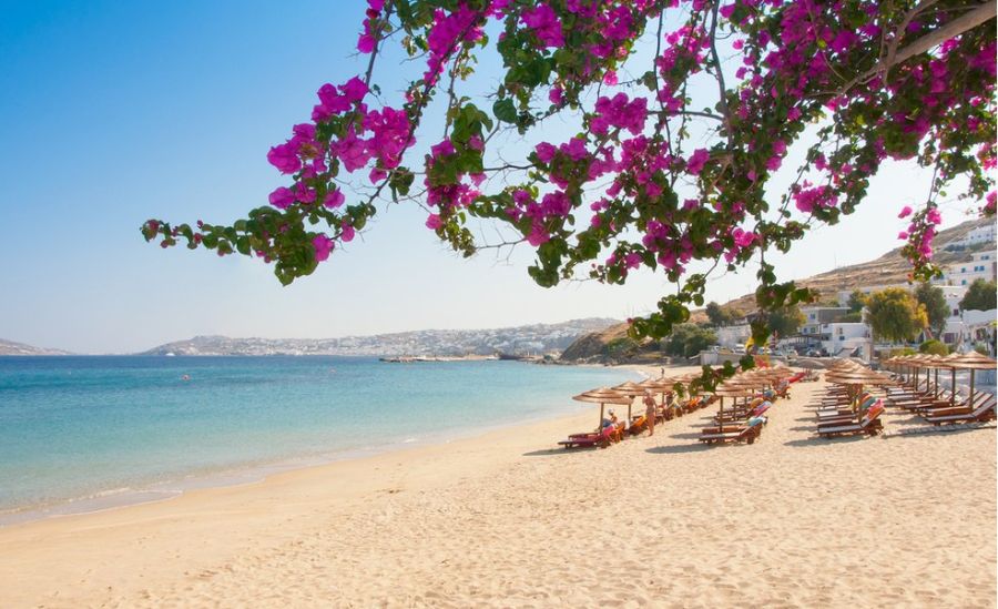 %7.5 زيادة عدد الأردنيين المغادرين لغايات