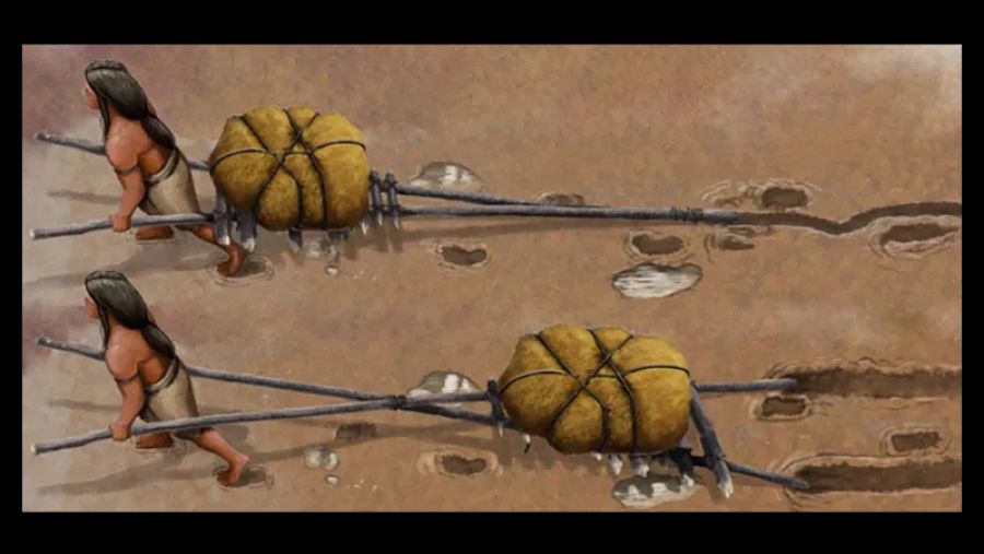 اكتشاف أثري فريد.. أول طريقة نقل