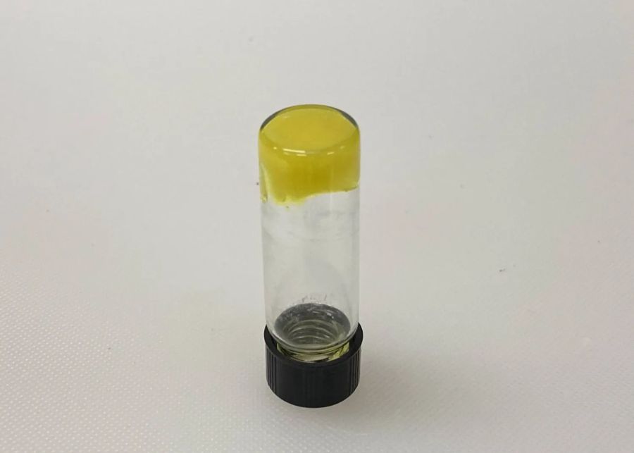 غرسة آدم.. مانع حمل للرجال يدوم